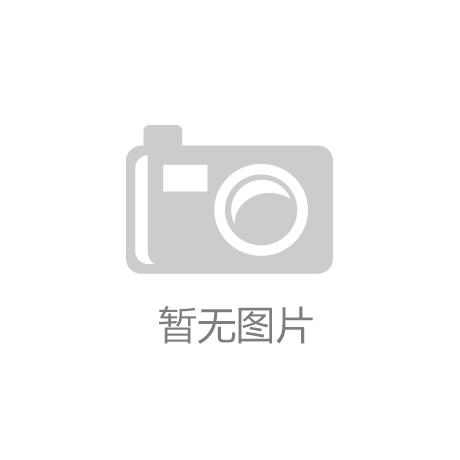 FYW-030 羽毛球网